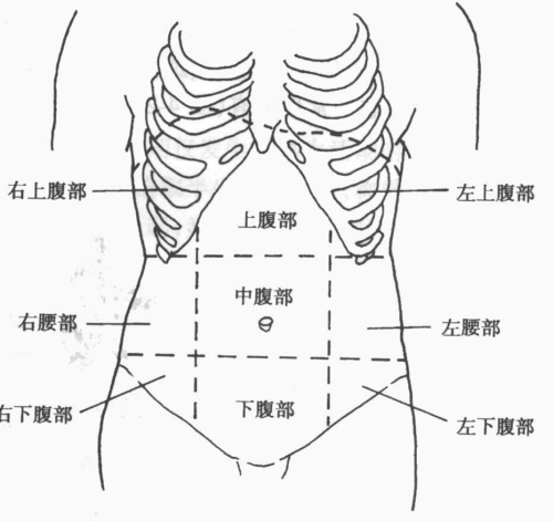 腹部九分法-执业医师技能考试辅导