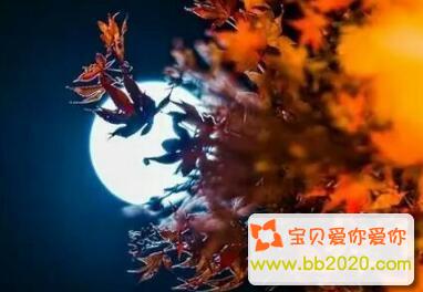 关于中秋节最美的10首必读古诗词第1张