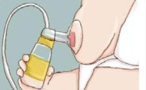 挤奶步骤：正确母乳的挤取方法(组图)