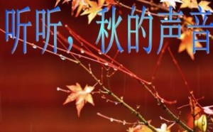 人教版小学三年级语文上册第十二课听听，秋的声音同步练习题