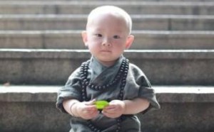 福州西禅寺超萌小和尚写真照一夜爆红网络(组图)