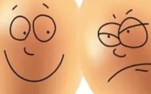 土鸡蛋与洋鸡蛋的营养成分差不多,柴鸡蛋土鸡蛋只是让你多花钱! 土鸡蛋与洋鸡蛋的营养成分差不多,柴鸡蛋土鸡蛋只是让你多花钱!