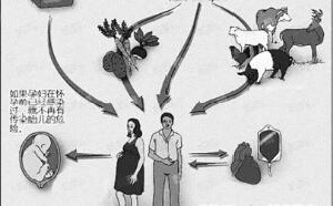 弓形虫会给胎儿造成哪些危害?准妈妈需高度重视宠物问题 弓形虫会给胎儿造成哪些危害?准妈妈需高度重视宠物问题