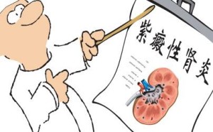 小儿过敏性紫癜不及时治疗,也可能发展成肾功能衰竭 小儿过敏性紫癜不及时治疗,也可能发展成肾功能衰竭