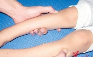 孩子厌食体弱多病按揉足三里 足三里的准确位置图 孩子厌食体弱多病按揉足三里 足三里的准确位置图