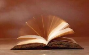 2006年高考满分作文及题目：择书如择偶