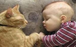 母乳喂养对婴儿宝宝的显著好处