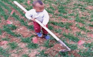 多子女家庭的悲哀