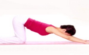 有助于产后猫式康复瑜伽练习 有助于产后猫式康复瑜伽练习