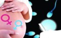 胎儿性别早知道_科学辨别胎儿性别的方法