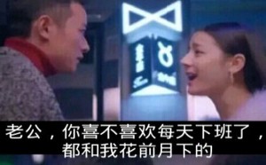 老公,你愿不愿意和我每天花前月下 老公,你愿不愿意和我每天花前月下