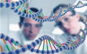 第三代PGS/PGD试管婴儿技术提高成功率 第三代PGS/PGD试管婴儿技术提高成功率