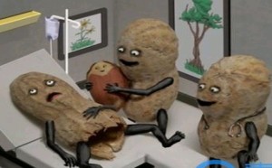 生男生女和饮食有一定的关系 生男生女和饮食有一定的关系