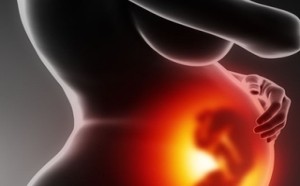 备孕怀孕期间怎样预防胎儿畸形 备孕怀孕期间怎样预防胎儿畸形