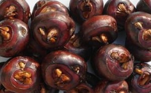 荸荠的经济价值:营养价值,食疗价值,药用价值及功效 荸荠的经济价值:营养价值,食疗价值,药用价值及功效