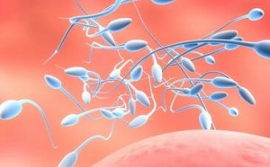 男人精液是什么东西,精子能美容吗 男人精液是什么东西,精子能美容吗