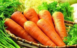 宝宝不喜欢吃胡萝卜怎么办 怎么让孩子爱上吃胡萝卜 宝宝不喜欢吃胡萝卜怎么办 怎么让孩子爱上吃胡萝卜