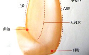 小儿支气管炎的治疗按摩方法(见图) 小儿支气管炎的治疗按摩方法(见图)