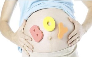 吃胎盘大补,孕产妇能不能吃胎盘补身体 吃胎盘大补,孕产妇能不能吃胎盘补身体