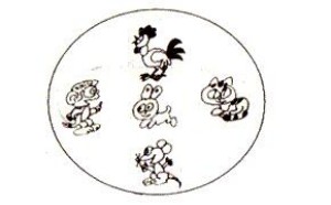 小学二年级奥数教程第29讲:简单的操作问题 小学二年级奥数教程第29讲:简单的操作问题