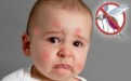 宝宝被蚊子叮咬了怎么办？应该如何处理