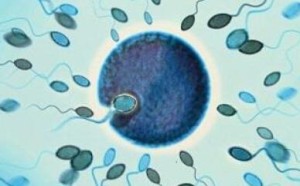 杀害精子的幕后凶手是谁?揭秘十大因素影响精子质量 杀害精子的幕后凶手是谁?揭秘十大因素影响精子质量