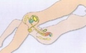 男女性交姿势_性爱姿势_性插图 男女性交姿势_性爱姿势_性插图