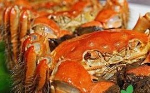 死螃蟹不能吃,小心食物中毒! 死螃蟹不能吃,小心食物中毒!