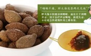 胖大海泡不开怎么回事，原因有哪些？