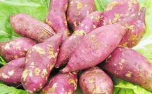 红薯不能和什么一起吃/同吃