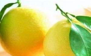 柚子吃多了会上火吗？