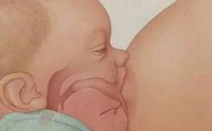 坚持母乳喂养是妈妈给孩子最好的爱 坚持母乳喂养是妈妈给孩子最好的爱