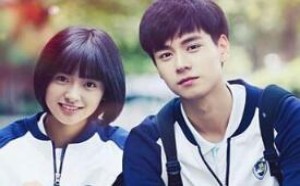 致我们单纯的小美好全集分集剧情