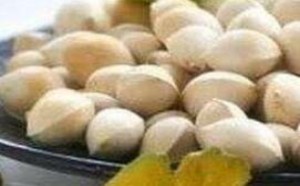 白果的功效与作用及食用方法
