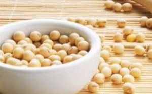 豆浆豆腐豆芽豆豉等的营养价值及优缺点 豆浆豆腐豆芽豆豉等的营养价值及优缺点