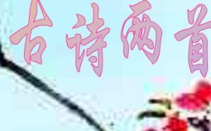 人教版小学三年级语文下册第二课古诗两首 诗词大意（译文）及同步练习题