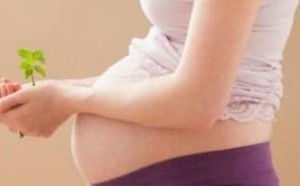 宫外孕威胁女性生命健康 如何避免宫外孕? 宫外孕威胁女性生命健康 如何避免宫外孕?