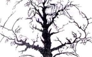 智商测试：从图中找出隐藏的人脸数 测试你的智商有多高？