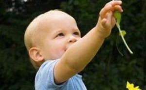 小孩吃什么提高抵抗力,让孩子远离疾病! 小孩吃什么提高抵抗力,让孩子远离疾病!