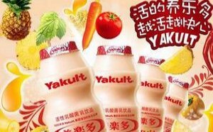 揭秘乳酸菌饮料背后的真相：存在六大问题不宜多喝