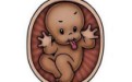 探索胎宝宝在妈妈肚子里的神奇世界 打哈欠做梦还把脐带当玩具