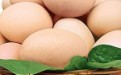 鸡蛋是营养最全的食品 经常吃鸡蛋对身体有什么好处