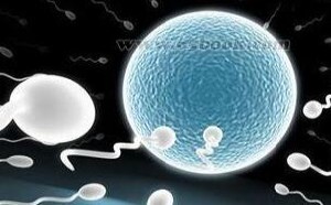 男性精液质量差的原因 如何提高男性精子活力