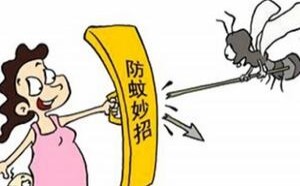 夏季如何预防被昆虫叮咬或蜇伤，处理方法有哪些？