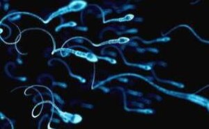 大蒜吃多了会杀精不利于生育 如何提高男性的精子质量