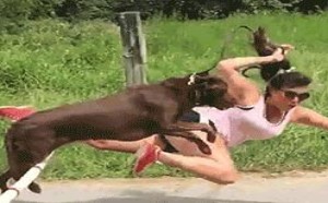 搞笑的gif动态图片笑死人 搞笑的gif动态图片笑死人