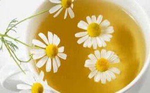 菊花茶的功效与作用 宜与哪些花茶泡水喝功效更好