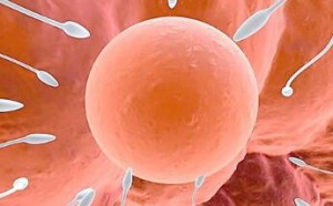 精子存活时间是多久 男人精子成活率低怎么办如何治疗