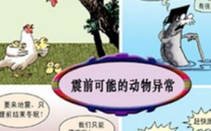 地震前有哪些征兆 解析地震发生前的10大异常现象 地震前有哪些征兆 解析地震发生前的10大异常现象