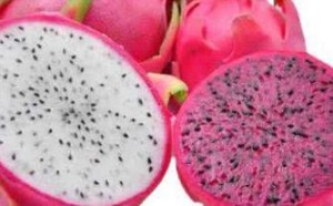 红心火龙果与白心火龙果的区别有哪些